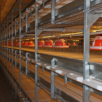 Automatic Harvesting Broiler Cage Systems