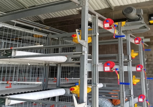 Manual Harvesting Broiler Cage Systems