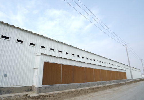 Prefab Steel Structure Poultry House