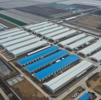 Prefab Steel Structure Poultry House